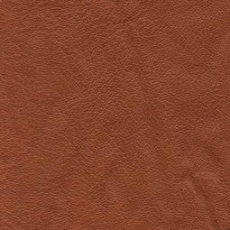 農機租賃的創新發展 皮革貼圖007視角下的行業洞察